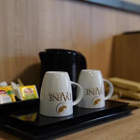 达芙尼酒店 安卡拉